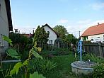Třibřichy